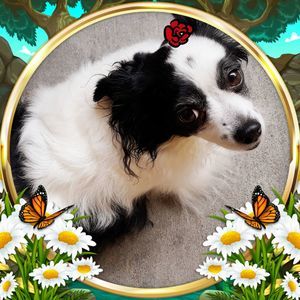 Meet your Posher, Mandy